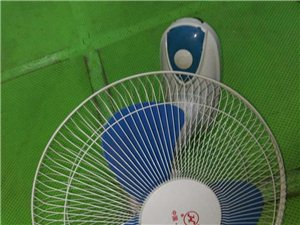 九成新TCL冰箱450元